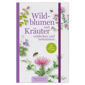 Vornholt |  Wildblumen und Kräuter entdecken und bestimmen | Buch |  Sack Fachmedien