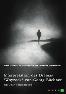 Galinski / Roth / Grünewald |  Interpretation des Dramas "Woyzeck" von Georg Büchner. Verschiedene Ansätze | eBook | Sack Fachmedien