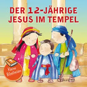 Groenewald / Meiß |  Kleine Bibelhelden - Der 12-jährige Jesus im Tempel | Buch |  Sack Fachmedien