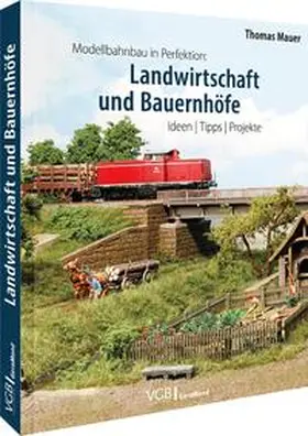 Mauer |  Modellbahnbau in Perfektion: Landwirtschaft und Bauernhöfe | Buch |  Sack Fachmedien