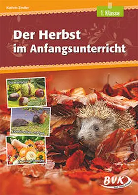 Zindler | Der Herbst im Anfangsunterricht | Buch | 978-3-96520-016-6 | www.sack.de