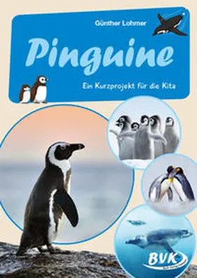 Lohmer |  Pinguine | Buch |  Sack Fachmedien