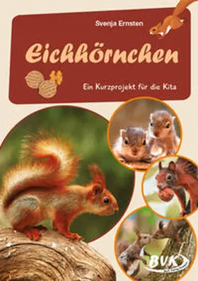 Ernsten |  Eichhörnchen | Buch |  Sack Fachmedien