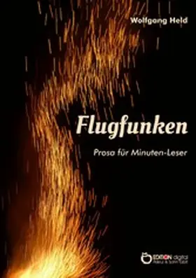 Held |  Flugfunken | eBook | Sack Fachmedien