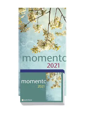 Fricke-Hein / Winterhoff | momento 2021 Abreißkalender | Sonstiges | 978-3-96536-017-4 | sack.de