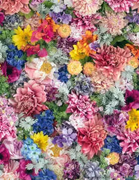  Colorful flowers | Buch |  Sack Fachmedien