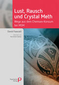 Fawcett |  Lust, Rausch und Crystal Meth | Buch |  Sack Fachmedien