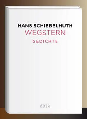 Schiebelhuth |  Wegstern | Buch |  Sack Fachmedien