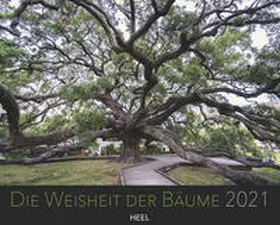 Cook / Jenshel |  Die Weisheit der Bäume 2021 | Sonstiges |  Sack Fachmedien