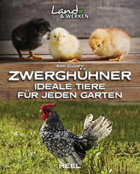Gutjahr |  Zwerghühner: Ideale Tiere für jeden Garten | Buch |  Sack Fachmedien