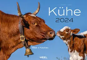 Klein |  Kühe Kalender 2024 | Sonstiges |  Sack Fachmedien