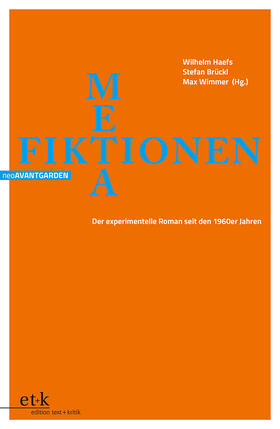 Brückl / Haefs / Wimmer | METAfiktionen | Buch | 978-3-96707-423-9 | sack.de