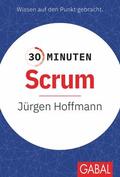 Hoffmann |  30 Minuten Scrum | Buch |  Sack Fachmedien