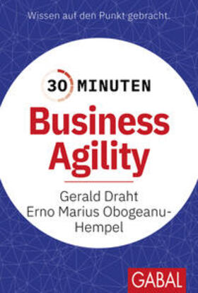 Draht / Obogeanu-Hempel |  30 Minuten Business Agility | Buch |  Sack Fachmedien
