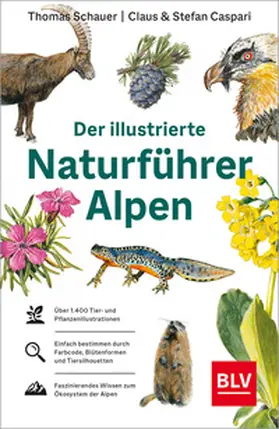 Schauer / Caspari |  Der illustrierte Naturführer Alpen | Buch |  Sack Fachmedien