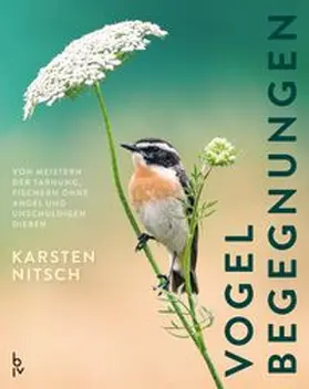 Nitsch |  Vogelbegegnungen | Buch |  Sack Fachmedien