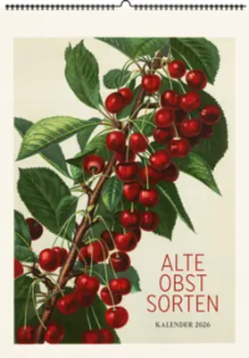 Alte Obstsorten. Wandkalender 2026 | Sonstiges | 978-3-96849-179-0 | www.sack.de