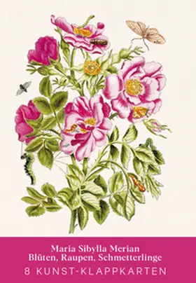  Maria Sibylla Merian - Acht Kunst-Klappkarten | Buch |  Sack Fachmedien