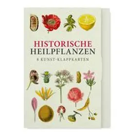 Historische Heilpflanzen - Acht Kunst-Klappkarten | Buch | 978-3-96849-206-3 | www.sack.de