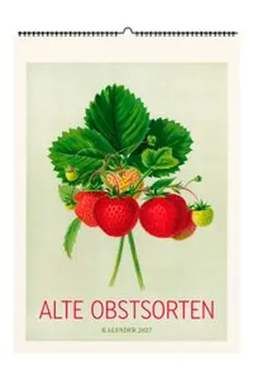 Alte Obstsorten. Wandkalender 2027 | Sonstiges | 978-3-96849-241-4 | www.sack.de