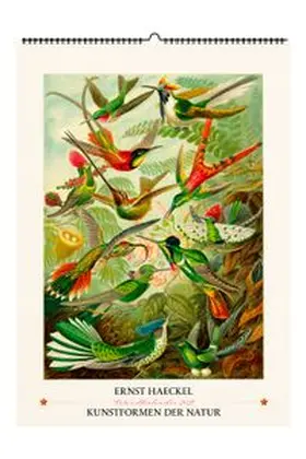 Ernst Haeckel. Kunstformen der Natur. Wandkalender 2027 | Sonstiges | 978-3-96849-243-8 | www.sack.de