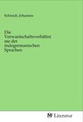 Schmidt |  Die Verwantschaftsverhältnisse der indogermanischen Sprachen | Buch |  Sack Fachmedien