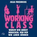 Friedrichs |  Working Class | Sonstiges |  Sack Fachmedien