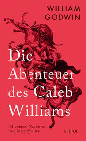 Godwin / Pechmann |  Die Abenteuer des Caleb Williams | Buch |  Sack Fachmedien