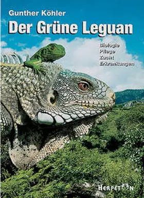 Köhler |  Der Grüne Leguan | Buch |  Sack Fachmedien