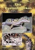 Seufer / Kaverkin / Kirschner |  The Eyelash Geckos | Buch |  Sack Fachmedien
