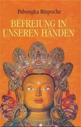  Befreiung in unseren Händen 1 | Buch |  Sack Fachmedien