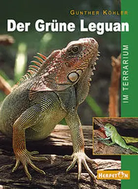 Köhler |  Der Grüne Leguan im Terrarium | Buch |  Sack Fachmedien
