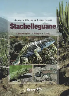 Köhler / Heimes |  Stachelleguane | Buch |  Sack Fachmedien