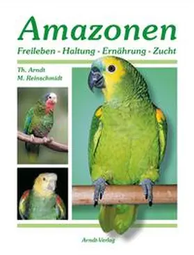 Arndt / Reinschmidt |  Amazonen 1 | Buch |  Sack Fachmedien