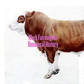 Galerie Peter Zimmermann / Mannheimer Kunstverein / Stather |  Mark Fairnington | Buch |  Sack Fachmedien