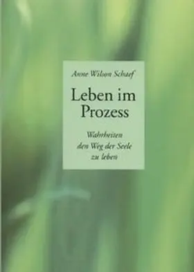 Schaef / Vollenweider |  Leben im Prozess | Buch |  Sack Fachmedien