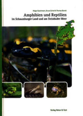 Buschmann / Scheel / Brandt | Amphibien und Reptilien im Schaumburger Land und am Steinhuder Meer | Buch | 978-3-9810058-2-0 | sack.de