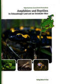 Buschmann / Scheel / Brandt |  Amphibien und Reptilien im Schaumburger Land und am Steinhuder Meer | Buch |  Sack Fachmedien