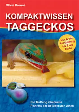 Drewes |  Kompaktwissen Taggeckos | Buch |  Sack Fachmedien