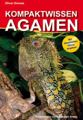 Drewes |  Kompaktwissen Agamen | Buch |  Sack Fachmedien