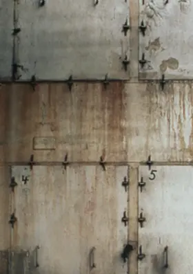 Hamel |  Brandenburg 1994 | Buch |  Sack Fachmedien