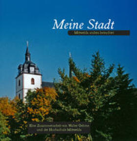 Oehme / Altendorfer | Meine Stadt | Buch | 978-3-9815142-7-8 | sack.de