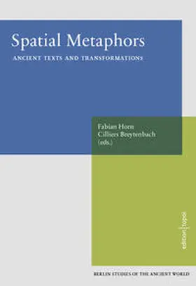 Horn / Breytenbach |  Spatial Metaphors | Buch |  Sack Fachmedien