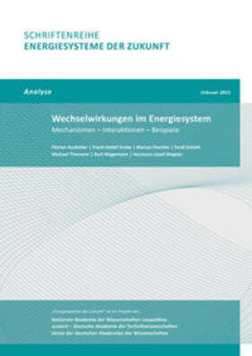 Ausfelder / Drake / Paschke | Wechselwirkungen im Energiesystem | Buch | 978-3-9817048-2-2 | sack.de