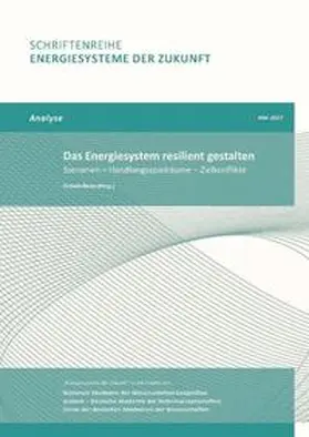 Renn |  Das Energiesystem resilient gestalten | Buch |  Sack Fachmedien