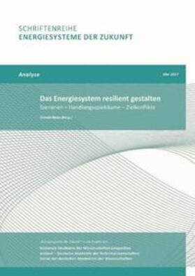 Renn | Das Energiesystem resilient gestalten | Buch | 978-3-9817048-7-7 | sack.de