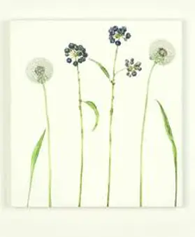 Claeys |  Halme, Rispen, Dolden_Beatrice Adler | Buch |  Sack Fachmedien