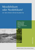 Schier / Orschiedt / Stäuble |  Mesolithikum oder Neolithikum? | Buch |  Sack Fachmedien