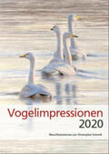 Schmidt |  Vogelimpressionen 2020 | Sonstiges |  Sack Fachmedien