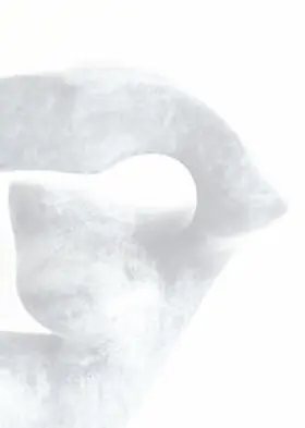 Claeys |  Elisabeth Dörr - Skulpturen | Buch |  Sack Fachmedien